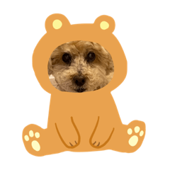 Cherry_20220605203757