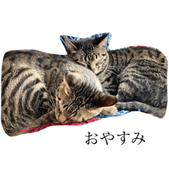 smile_20220605222554