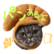 cat"tai"