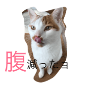 cielkun