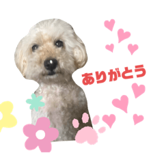 yuka_20220606131317