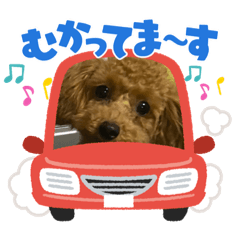 yuka_20220606112839
