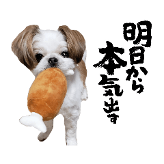 yuka_20220605221751