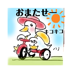 インコのコメとあずきと愉快な仲間たち④