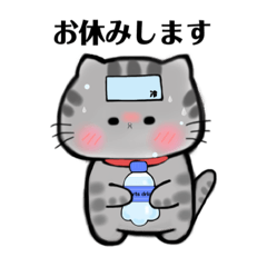 Sabatra cat Tome-chan polite language