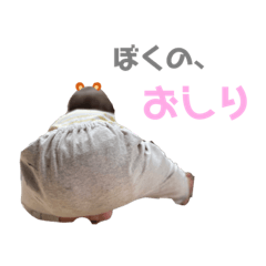 rei_20220606223325