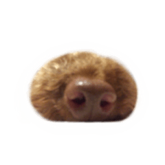 まめちょんこスタンプ