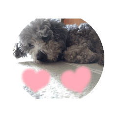 daichi_20220606221720