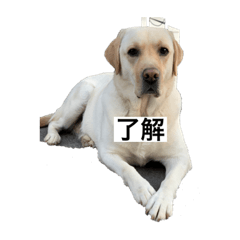 HANA_20220606220316