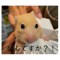 haruta_20220606211148