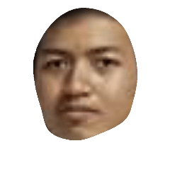 GnOC