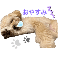 Yuka_20220607000218