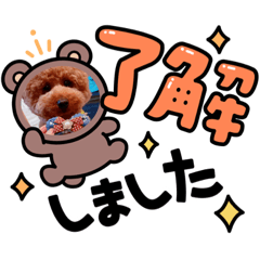 ayumi_20220607004034