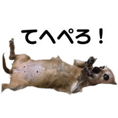 AI_20220607130910