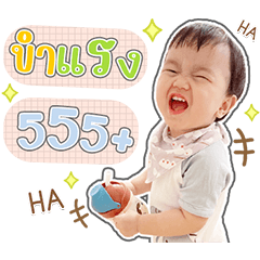 Prompt Krub V.2