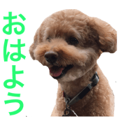 choco good morning