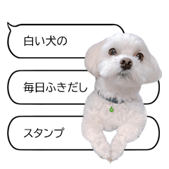 White dog speech balloon.