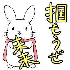Rabbit Igarasi 6