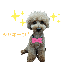 yuto_20220607191425