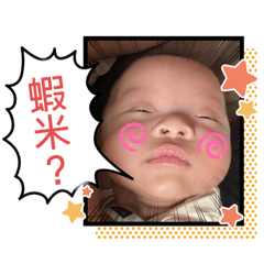 蛋黃小