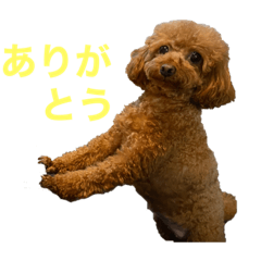 KAORI_20220607180528