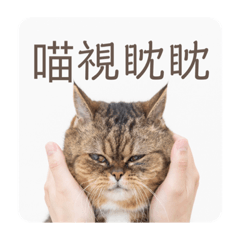 陳圓圓厭世日誌（2）