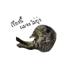 Katijung_20220607185440