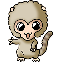 A pygmy marmoset has appeared. Part 1