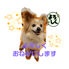hana_20220608001729