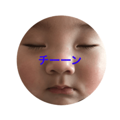 tatsurukun
