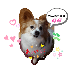 hana_20220607222304