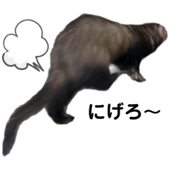 mizuki_20220607225726