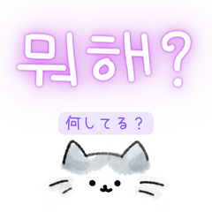 Shiratama-cat in Korean 1