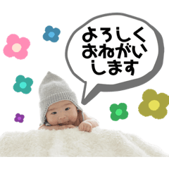 seistar_20220608162839