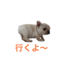 rina_20220608211653