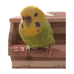 mizuki_20220608182730