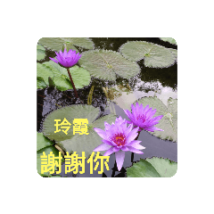 玲玲姐3