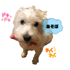 shin_20220608184745
