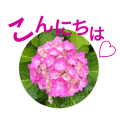 Hana_20220608232127