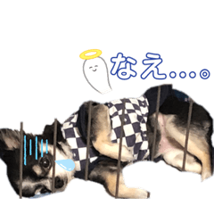 MIZUKI_20220608234509