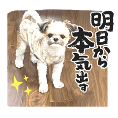 champ vert_20220609081531