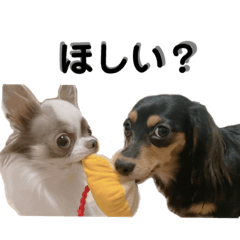 mizuki_20220609124451