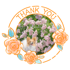 yukari_20220609130013