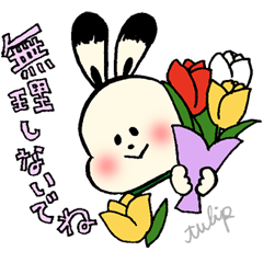 Flower language rabbit