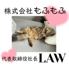 akari_20220608223009