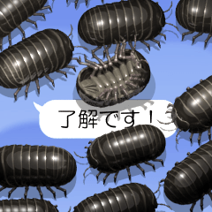 Pill bug on the smartphone 4