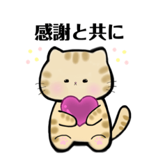 Tea tiger cat Toto-chan polite language