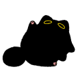 Owl Black Cat 3