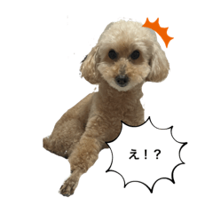 rei_20220609093651