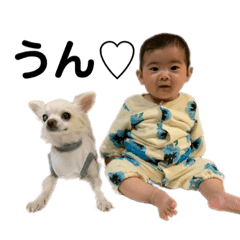 AI_20220609161245